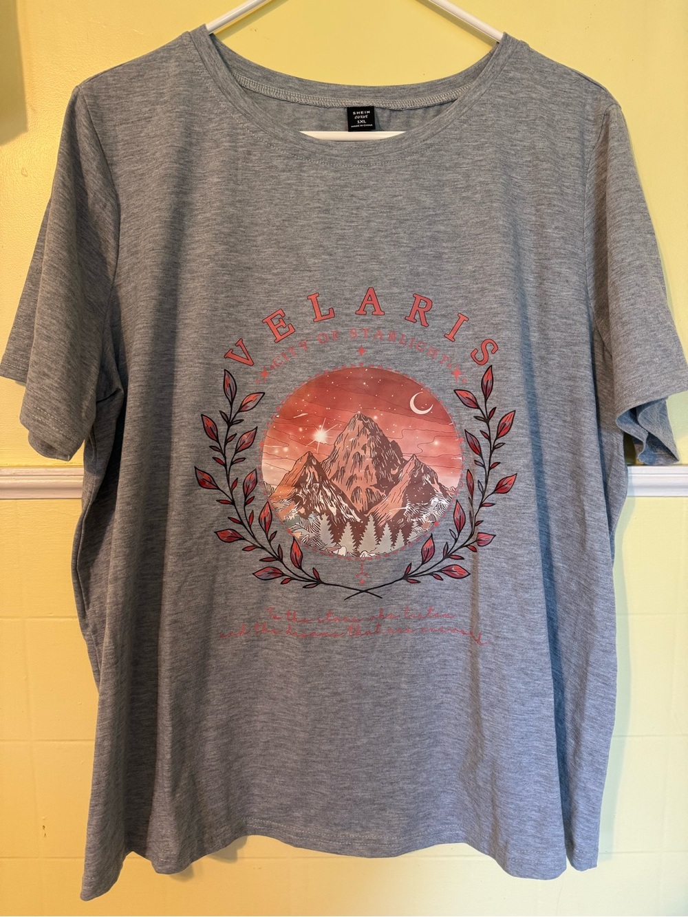 SHEIN Gray Short-Sleeve Graphic Tee with Red Mountain Print